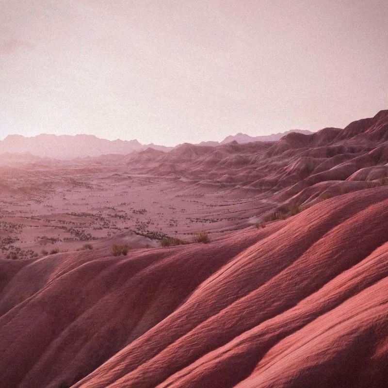 【残りわずか】Eau de Parfum 50ml(PAINTED DESERT)