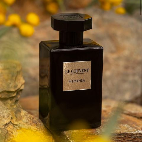 【残り一点】シグネチャー 100ml(MIMOSA)