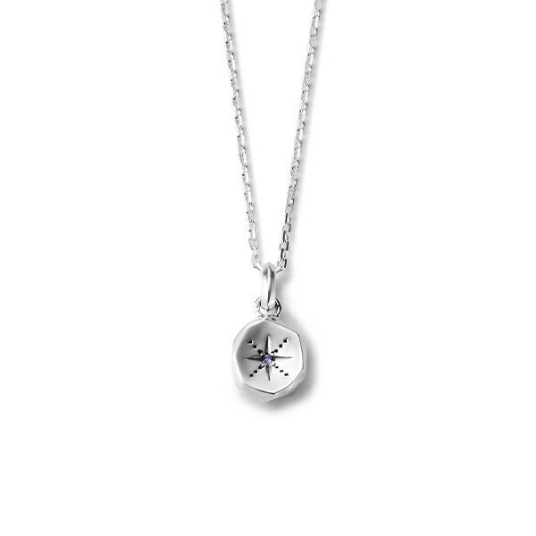 【お取り寄せ注文可能】Amulet Pendant_S(TANZANITE)