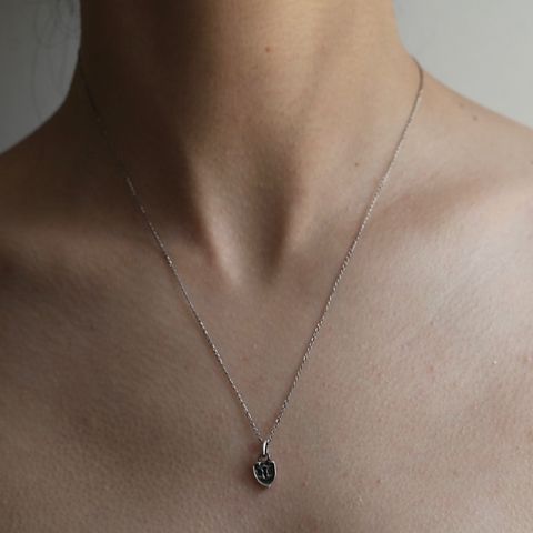 【お取り寄せ注文可能】Pigeon Charm Pendant(SILVER)