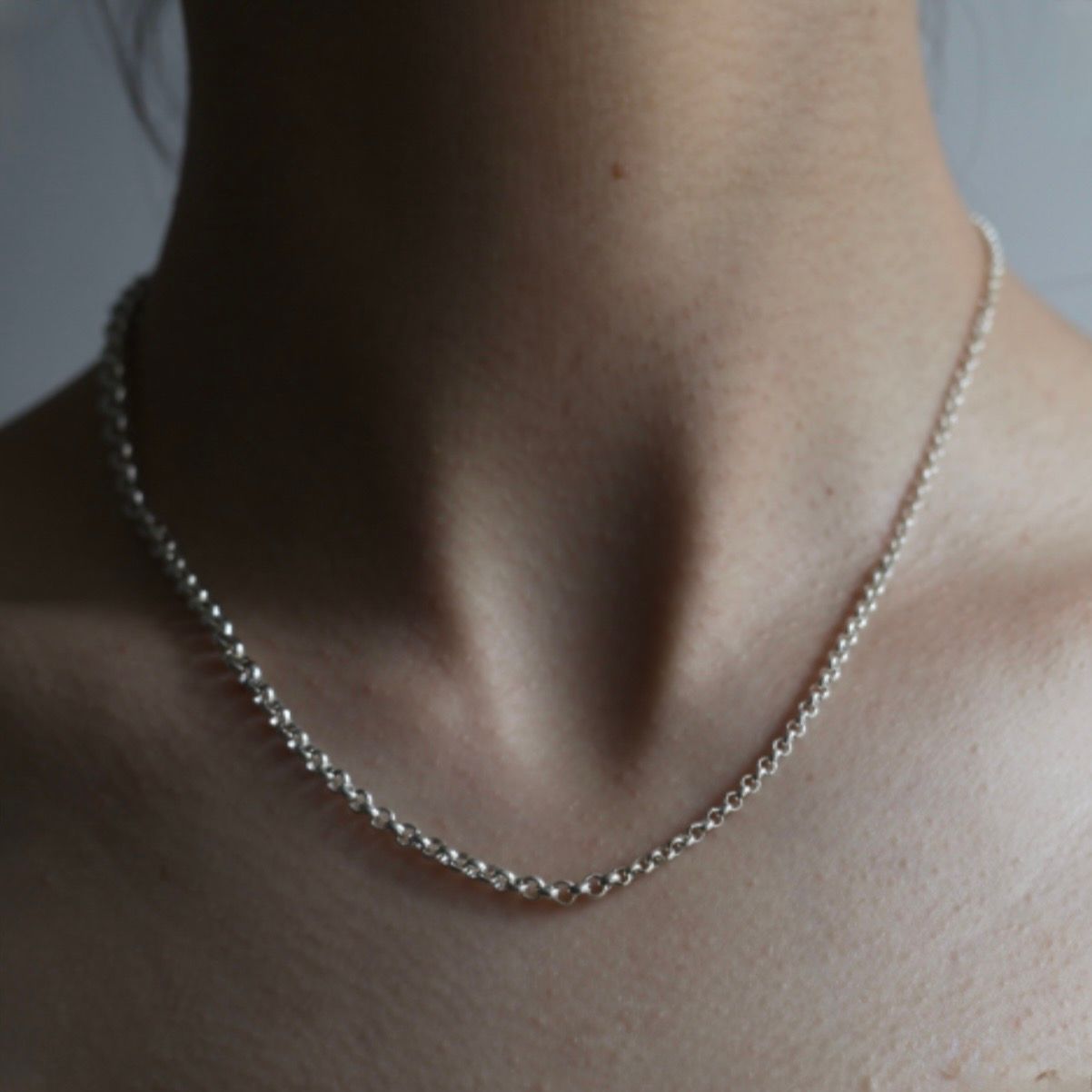 【残り一点】Gradient Rolo Chain Necklace T-BAR