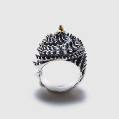 【お取り寄せ注文可能】Jack and the Beanstalk Ring(SILVER×GOLD)