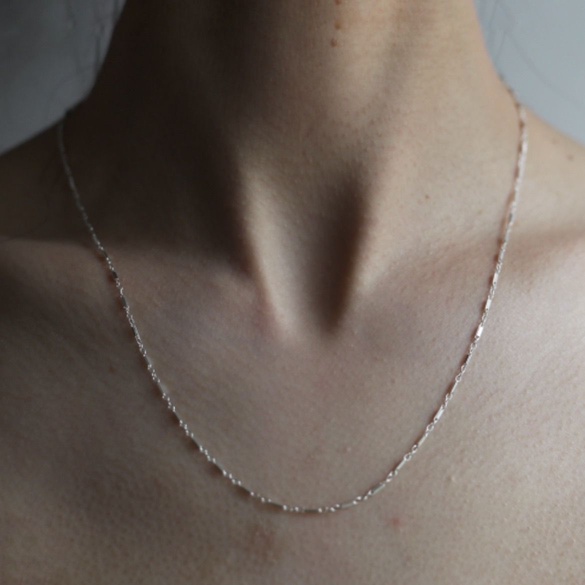【残り一点】Bar&Link Chain Necklace