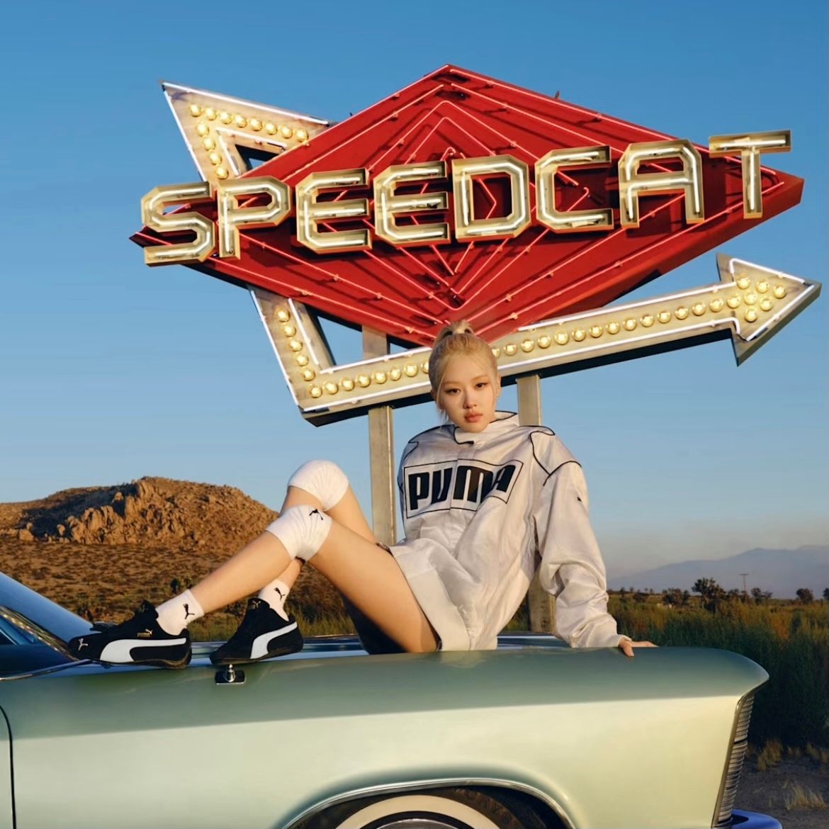 【残りわずか】Speedcat OG