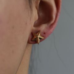 【お取り寄せ注文可能】Star Pierce(GOLD）