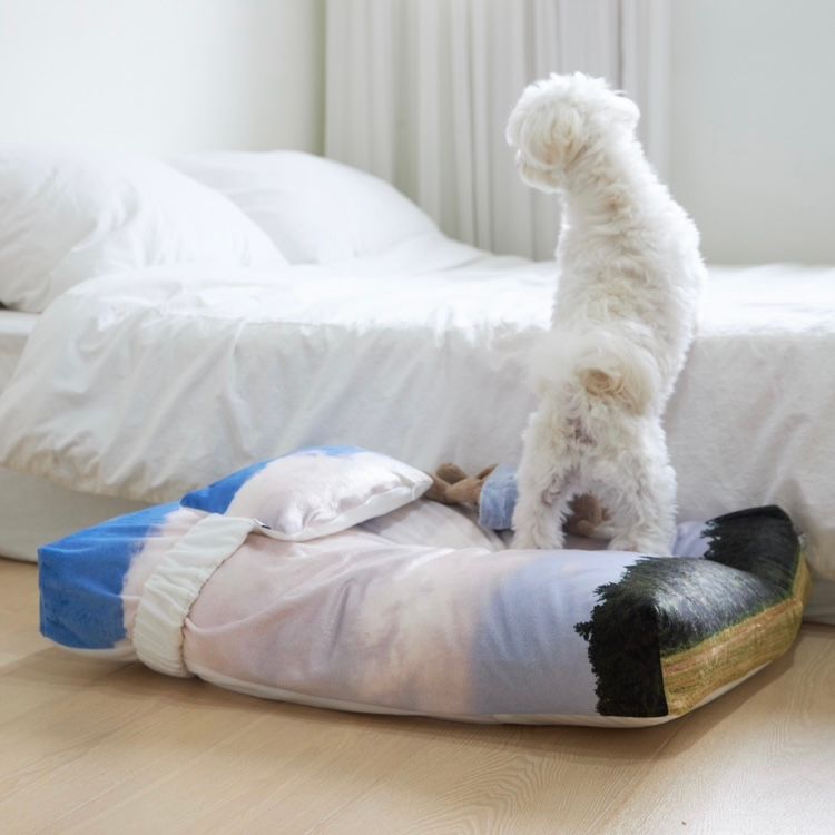 【残り一点】Jeju Landscape Pet Cushion