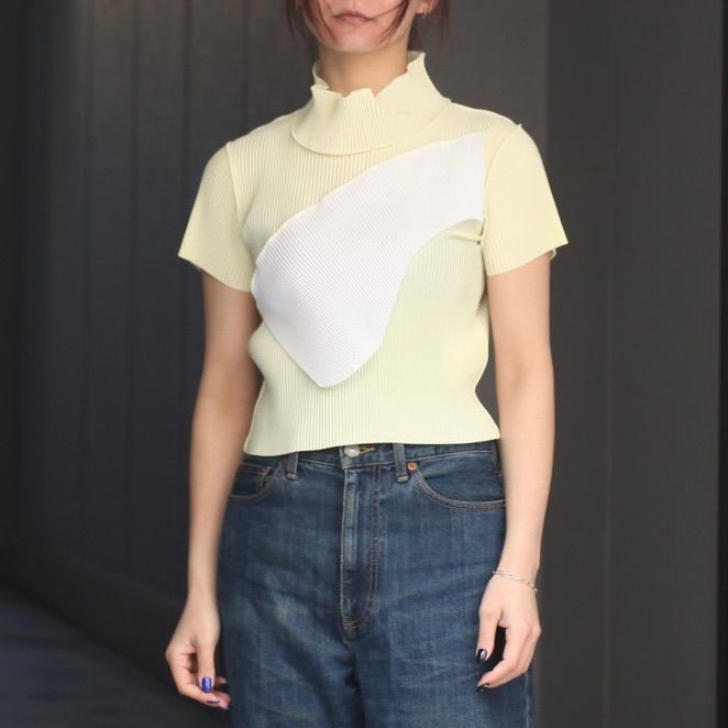 【残り一点】Todo Wave Tiny Top Short Sleeve Highneck