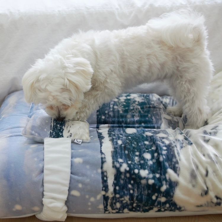 【残り一点】Jeju Westcoast Pet Cushion