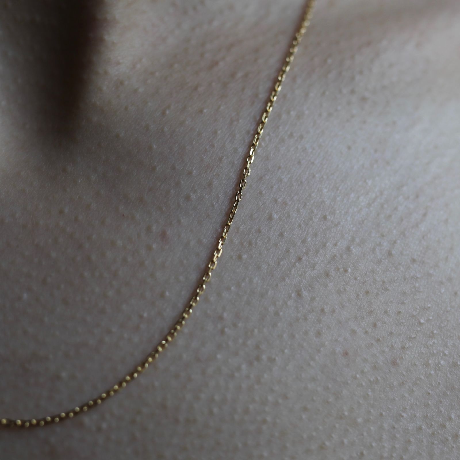 MARIA BLACK - 【残りわずか】Chain Necklace 50cm(SILVER