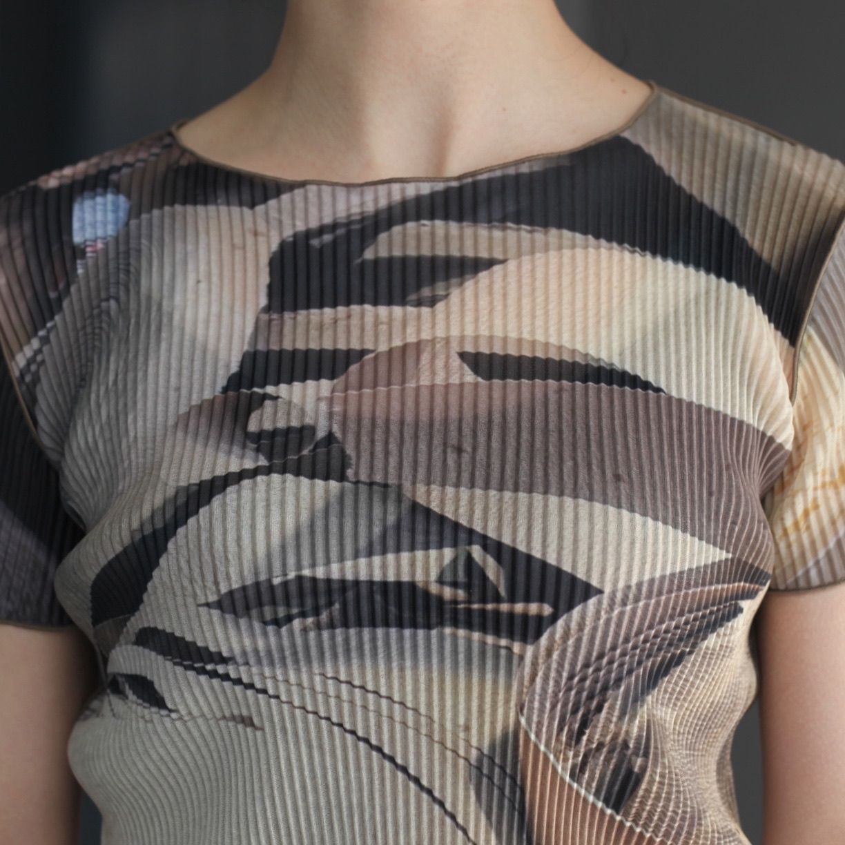 【残り一点】Sheer Graphic Tiny Top