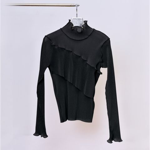 【残り一点】Sheer Long Sleeve High Neck Top
