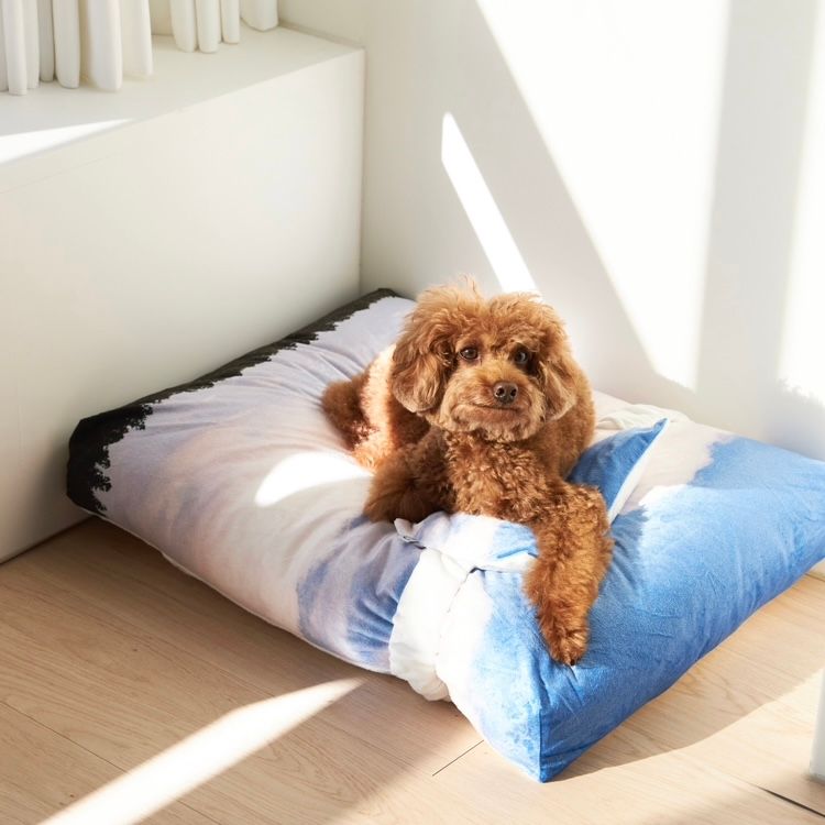【残り一点】Jeju Landscape Pet Cushion