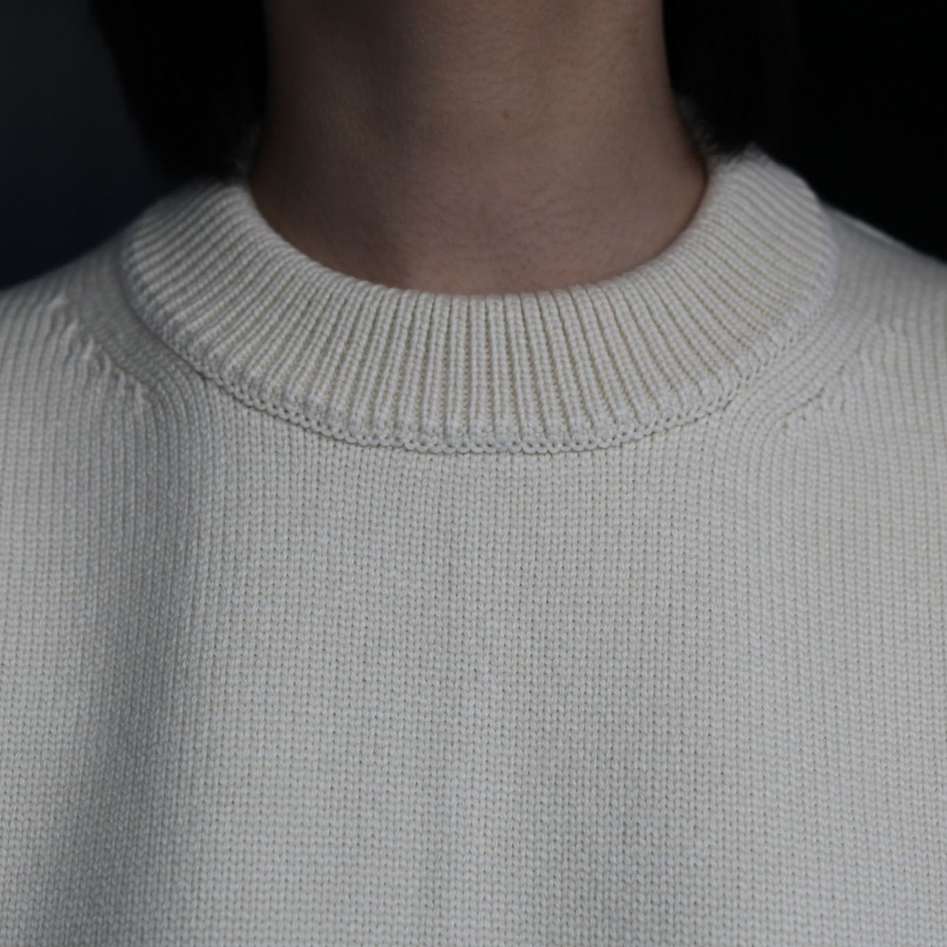 stein - 【残り一点】Cotton Contrast Stitch Knit LS | ACRMTSM