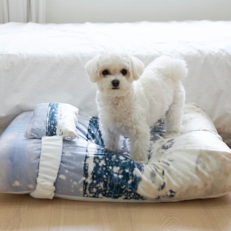 【残り一点】Jeju Westcoast Pet Cushion