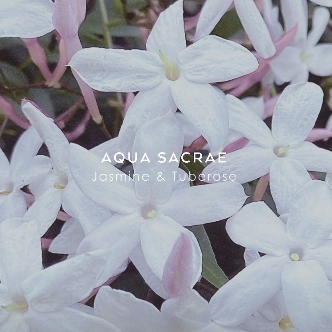 【残り一点】ボタニカルコロン 50ml(AQUA SACRAE)
