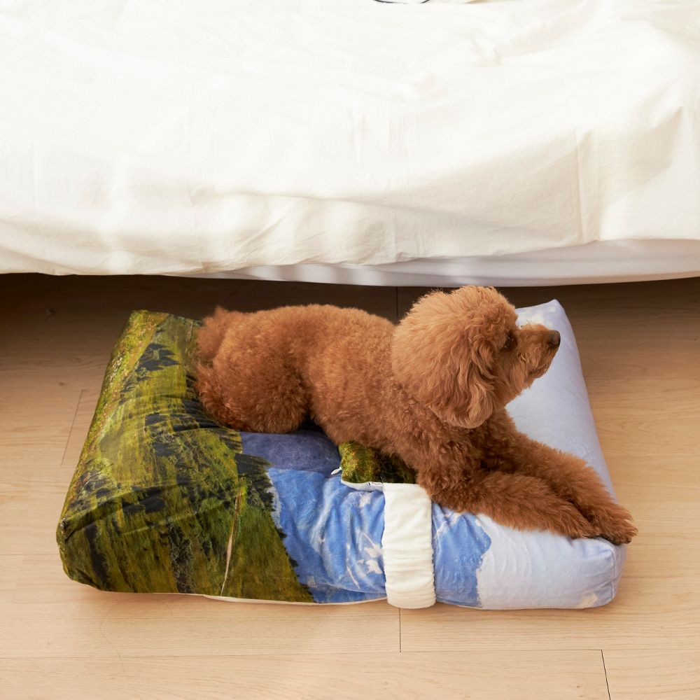 【再販売通知受付可能】Swiss Enjoy Pet Cushion