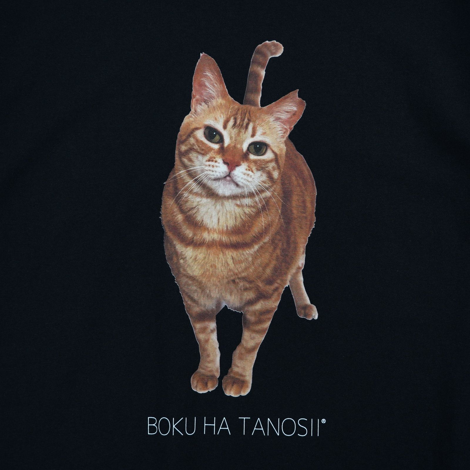 【残り一点】Science Photo Tee(HOUSE CAT)