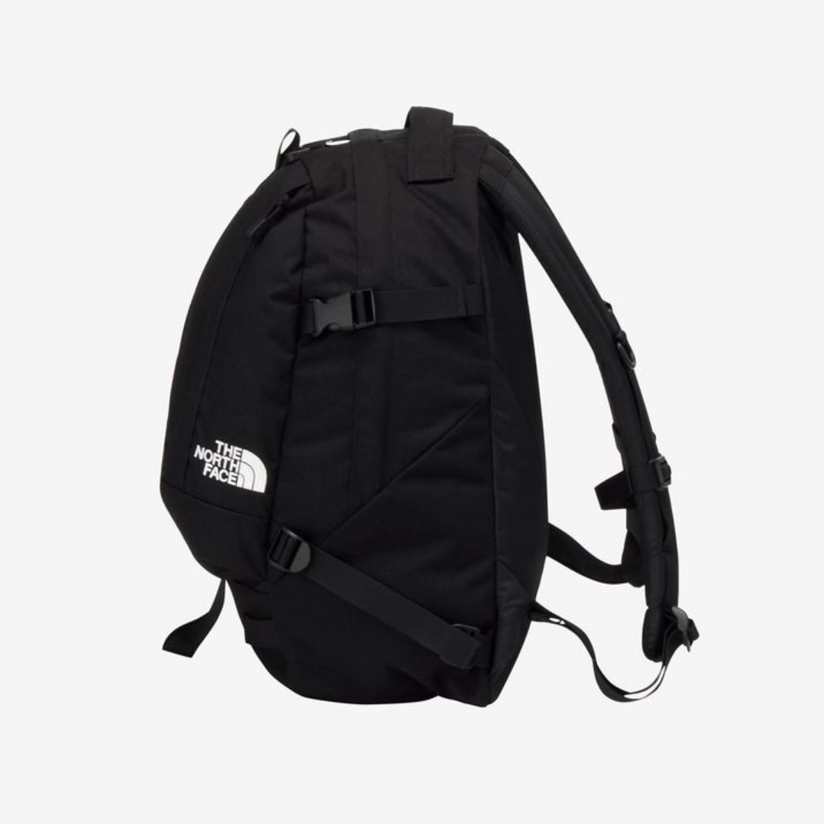 【残り一点】Kinkajou