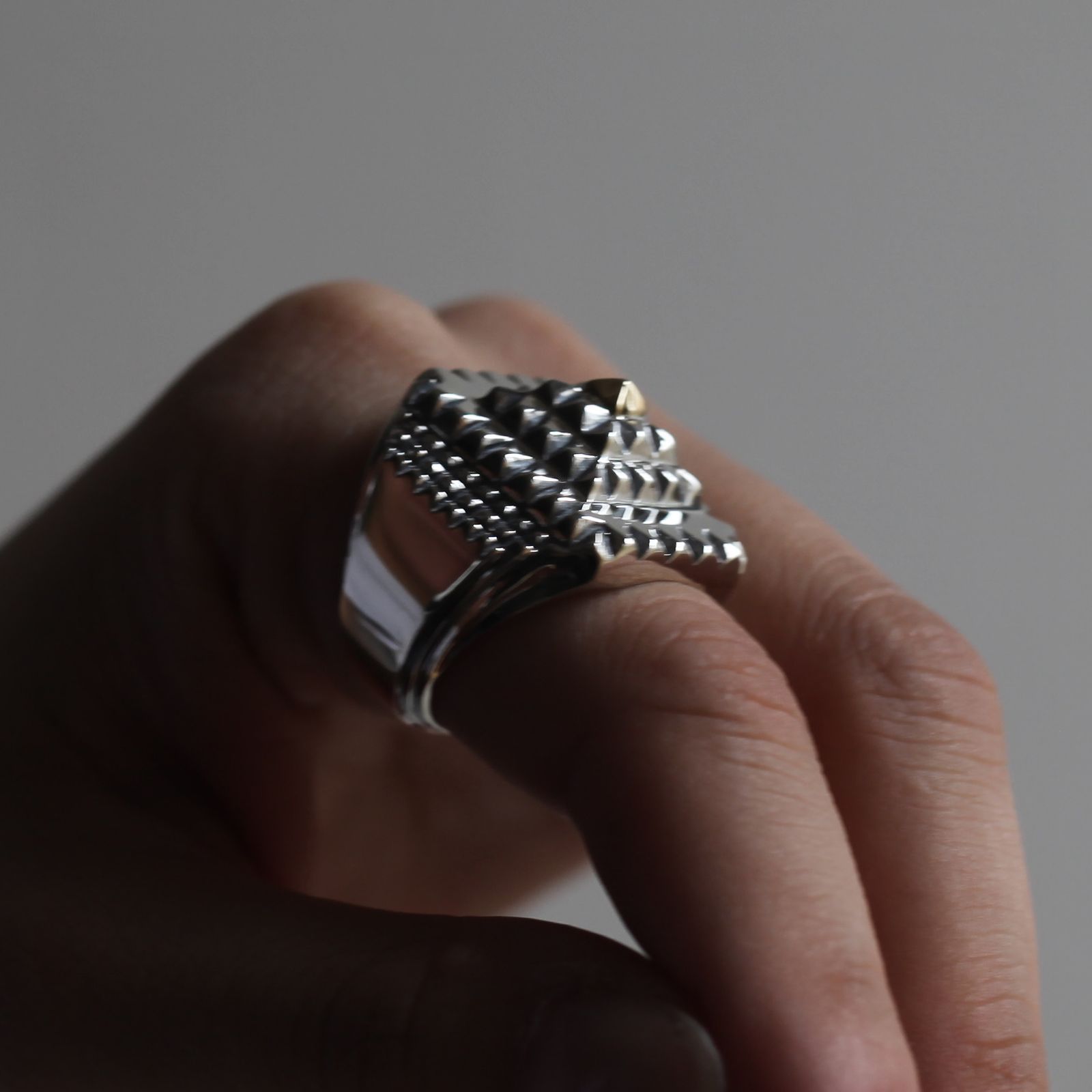 【お取り寄せ注文可能】Vertex Of Element Ring(SILVER×GOLD)
