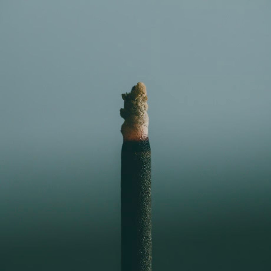 【残りわずか】Fragrance Incense(CASSIS LEAF)