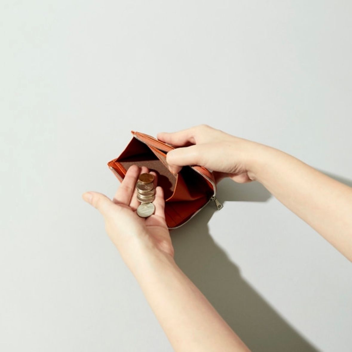 【残り一点】L Zip Purse(KIP)