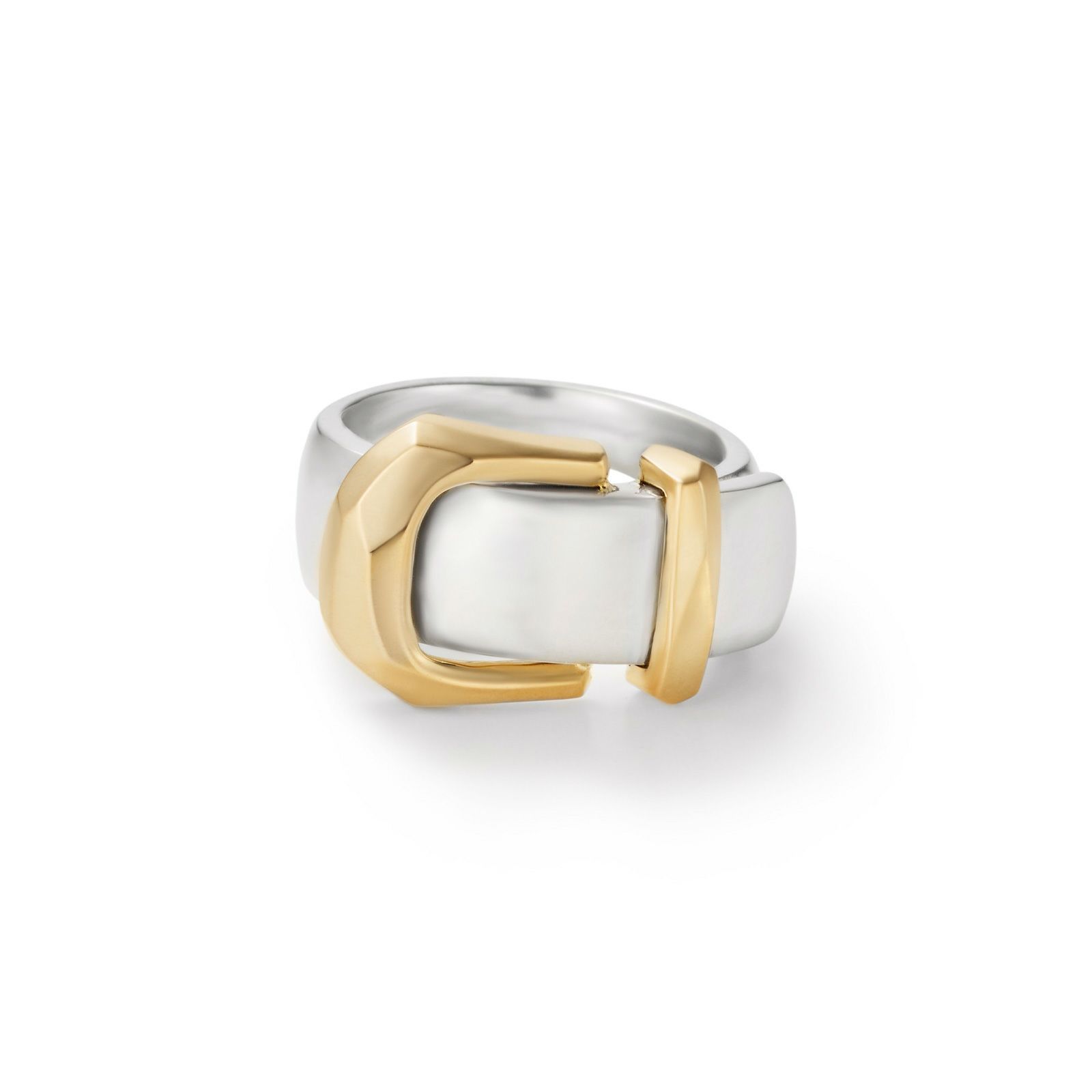 【お取り寄せ注文可能】Buckle Ring_L(SILVER×GOLD)