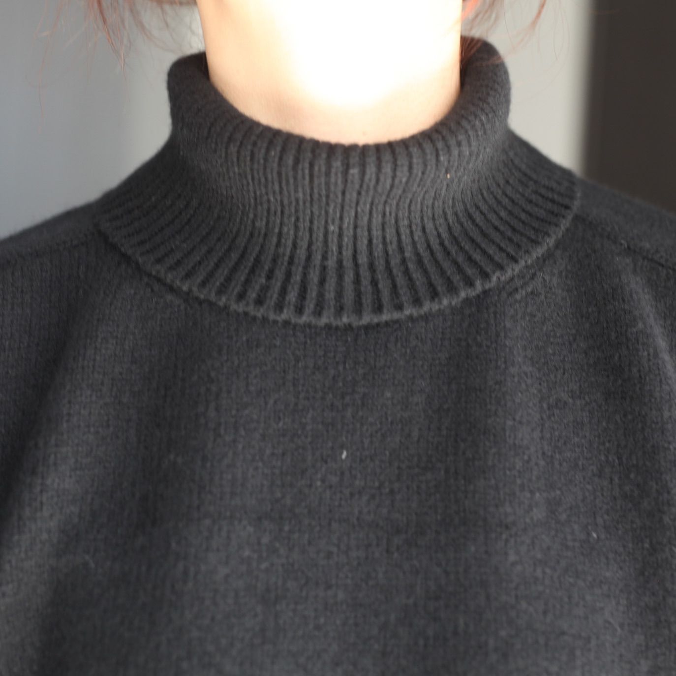 【残りわずか】Extra Fine Wool Warm Knit Turtle Neck LS