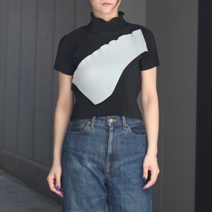 【残り一点】Todo Wave Tiny Top Short Sleeve Highneck