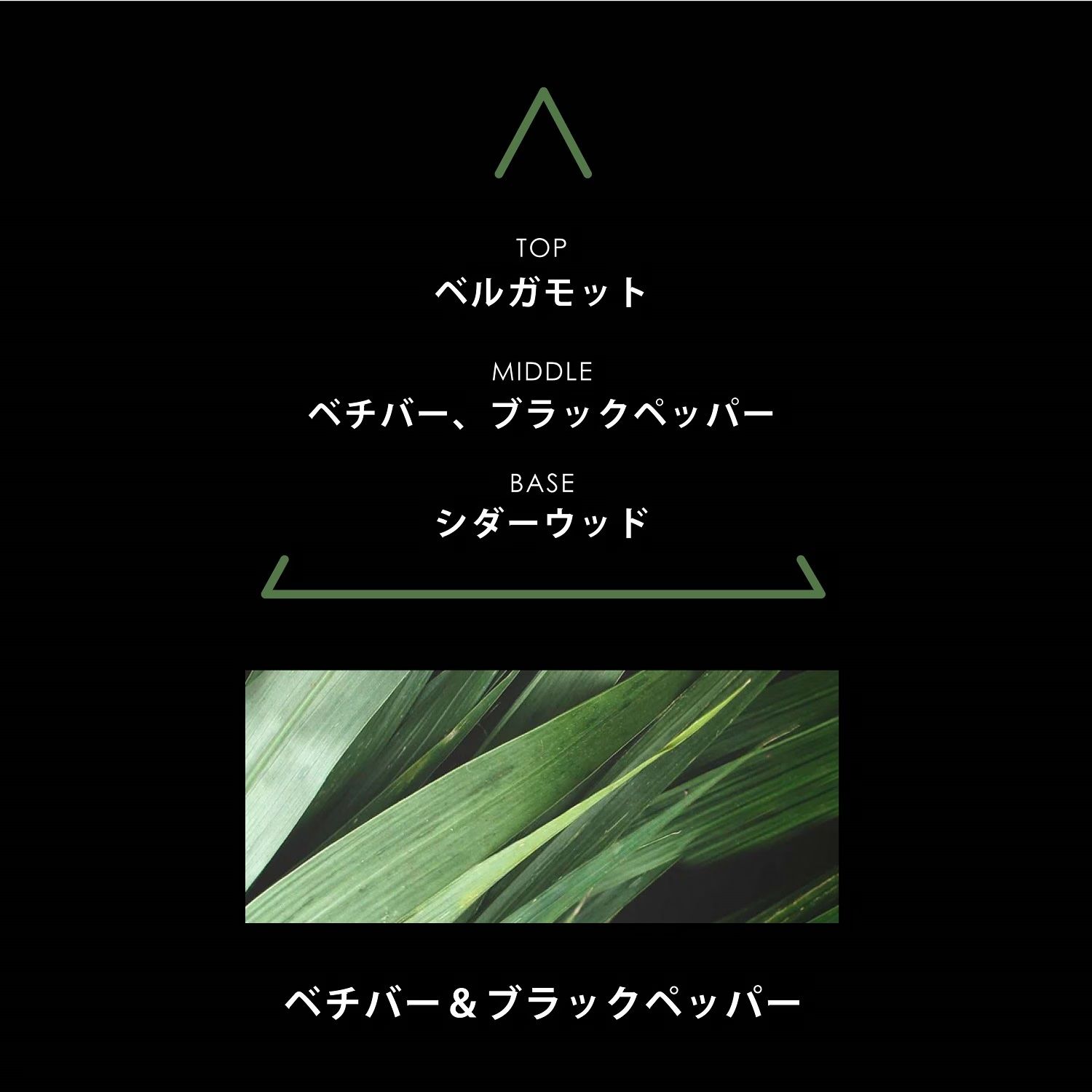 【残りわずか】シグネチャー 100ml(VETIVERA)
