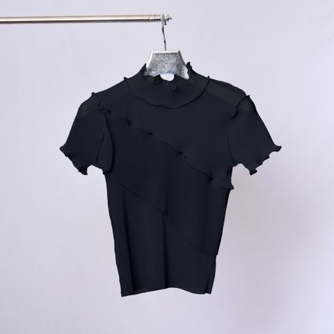 【残り一点】Sheer Short Sleeve High Neck Top