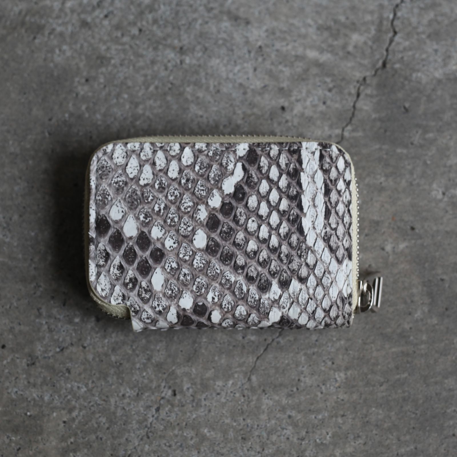 【残りわずか】Cristy Coin Card WLT(MOLURUS)