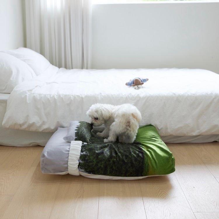 【残り一点】Jeju Orrum Pet Cushion