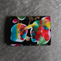 【残り一点】Paint Coin Case
