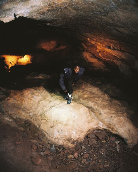 No. 5
