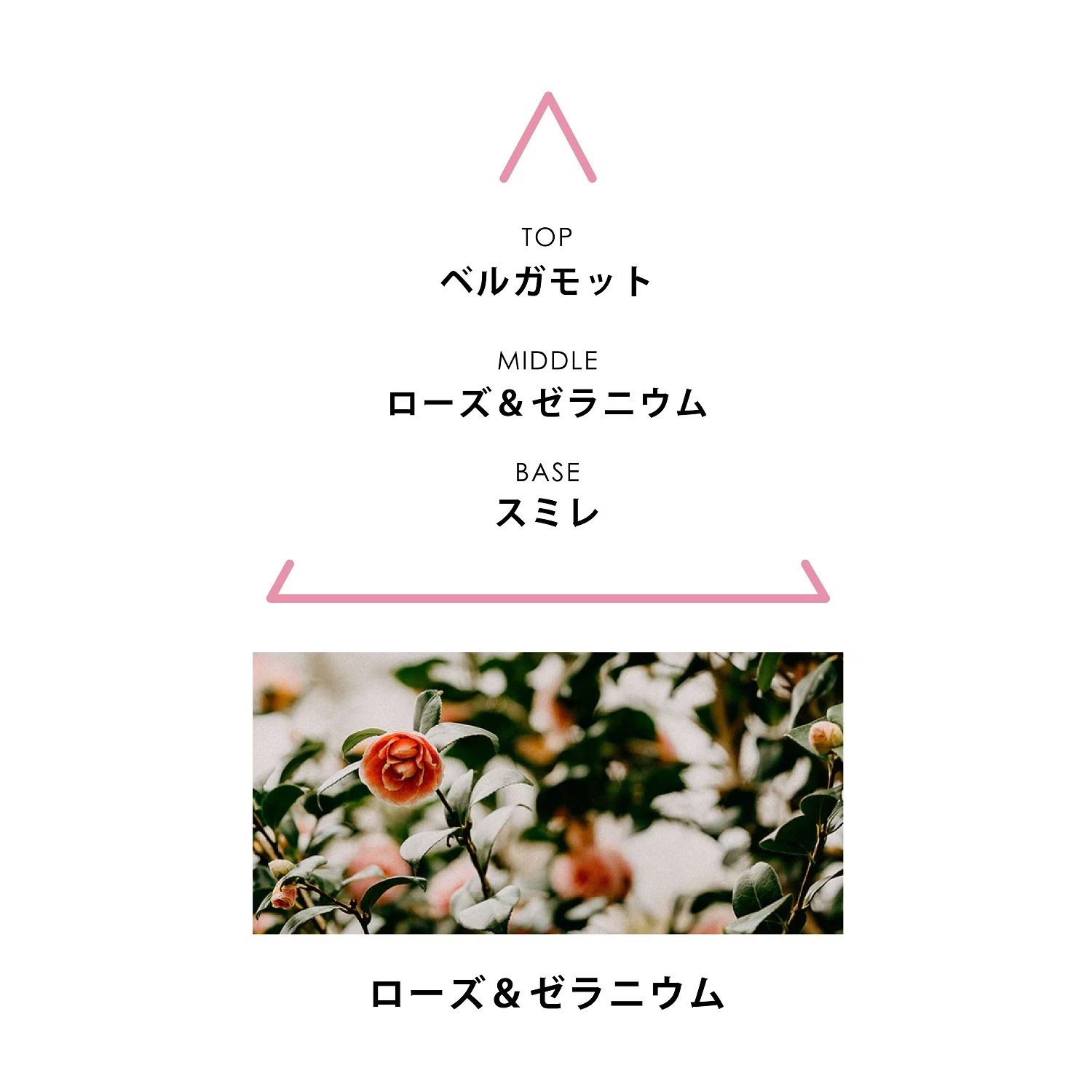 【残りわずか】ボタニカルコロン 50ml(AQUA PARADISI)