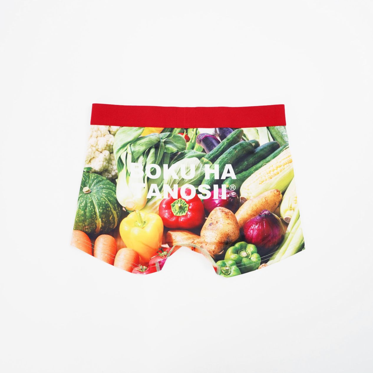 【残り一点】Boku Tano Boxer(HEALTHY PHOTO)