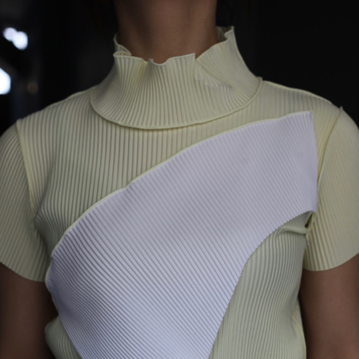 【残り一点】Todo Wave Tiny Top Short Sleeve Highneck