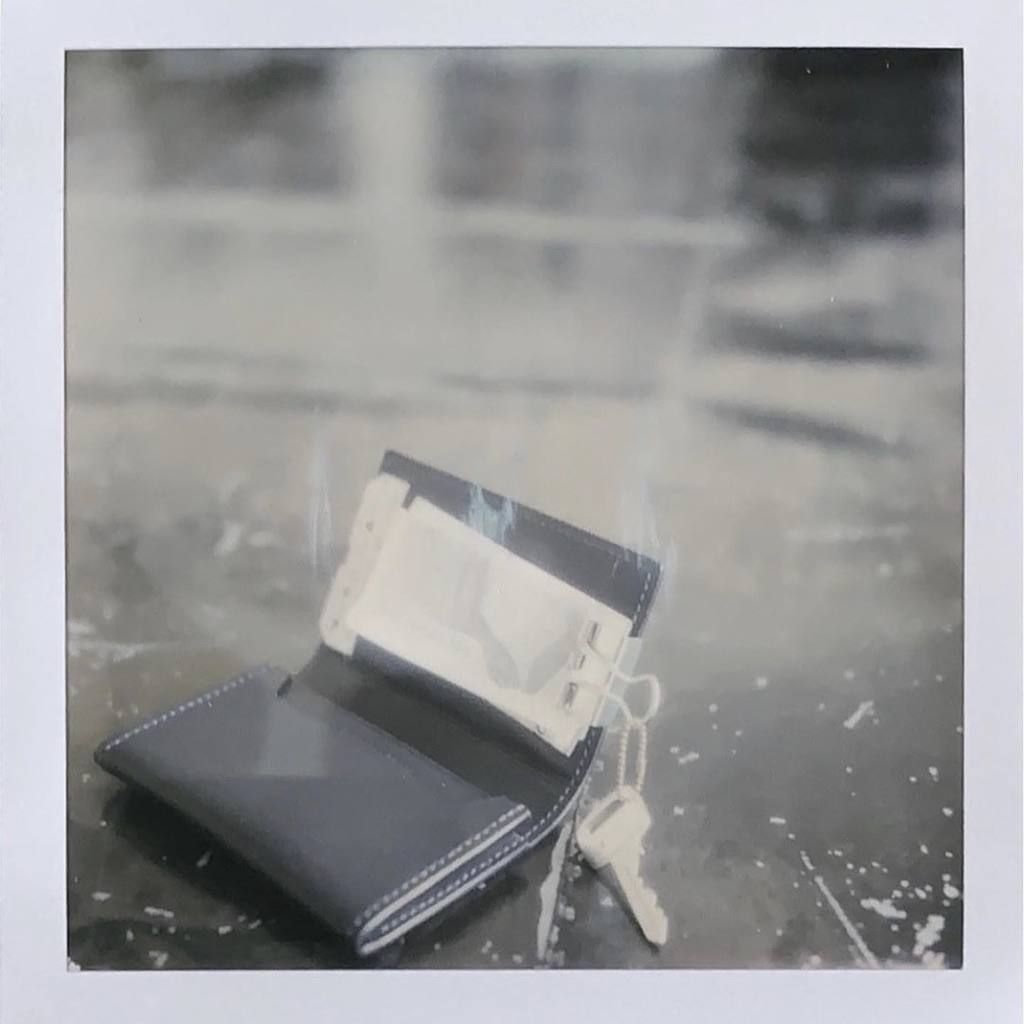 【残りわずか】Clip Card Case(GEM_COW)
