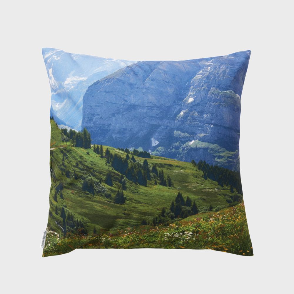 【再販売通知受付可能】Swiss Enjoy Cushion Cover