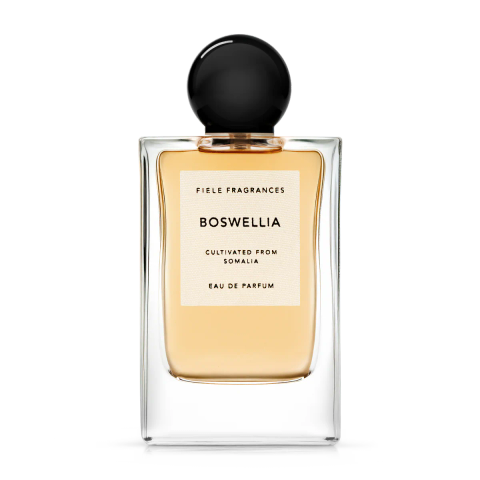 【残りわずか】Eau De Parfum 50ml(BOSWELLIA)