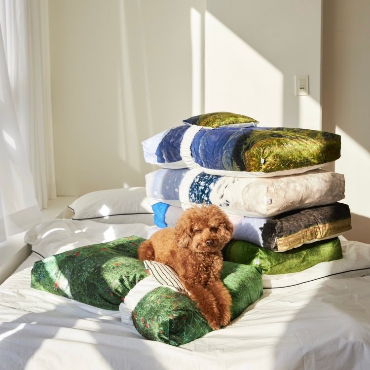 【再販売通知受付可能】Suncheon Blossom Pet Cushion