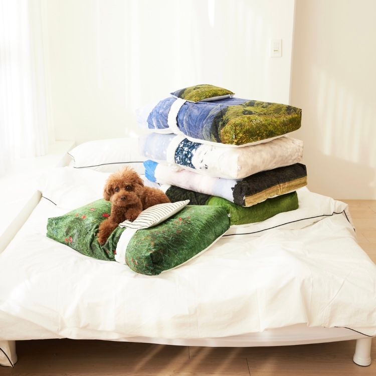 【再販売通知受付可能】Suncheon Blossom Pet Cushion