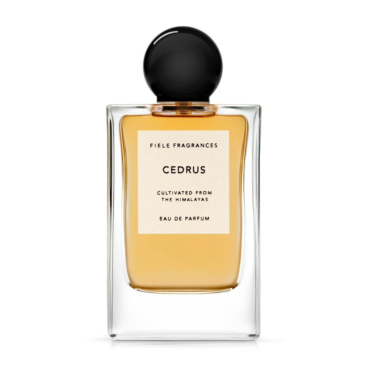 【残り一点】Eau De Parfum 50ml(CEDRUS)