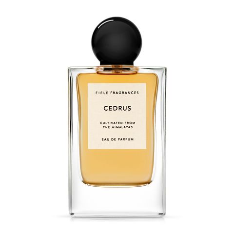 【残り一点】Eau De Parfum 50ml(CEDRUS)
