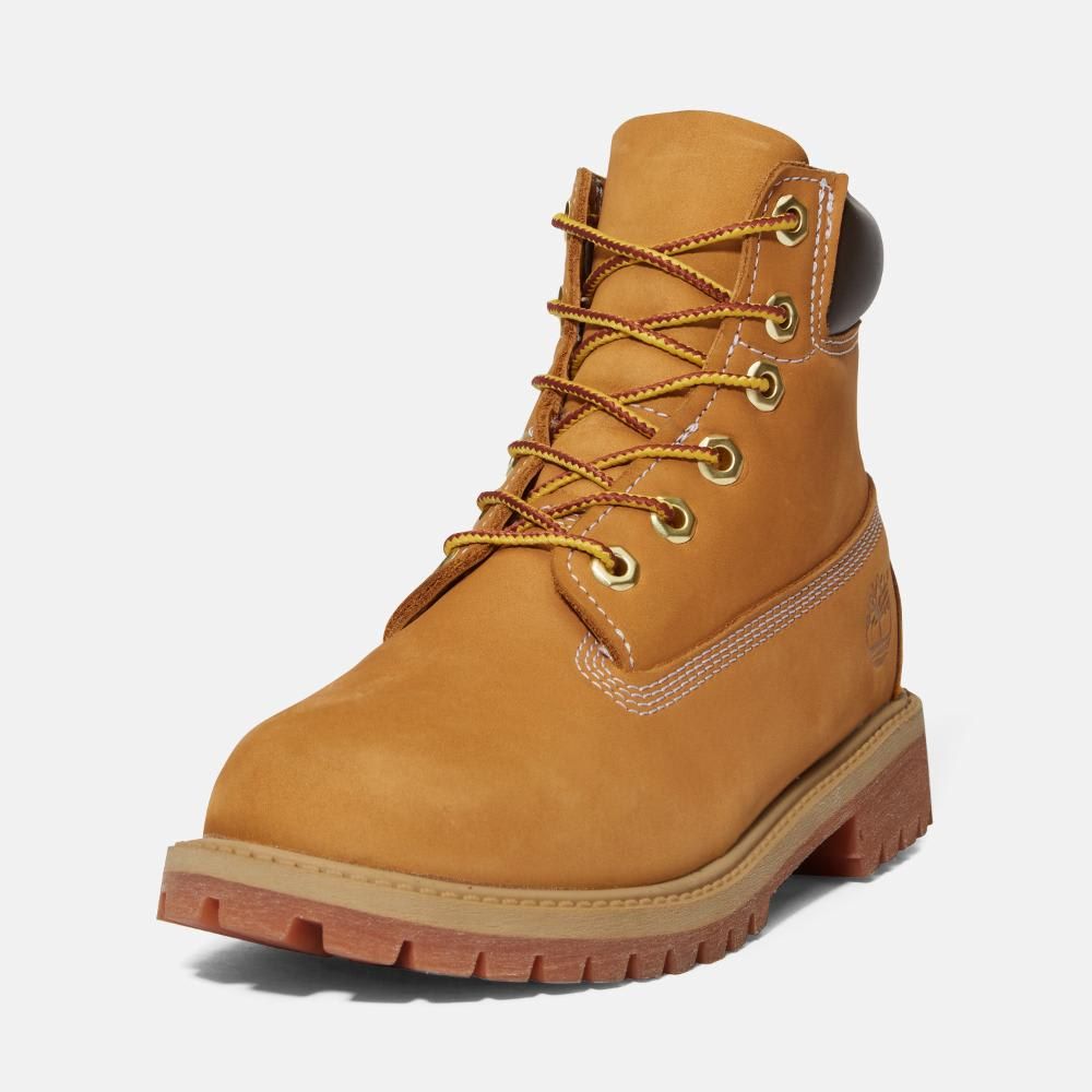 【残りわずか】6in Premium Boots WP(KIDS)