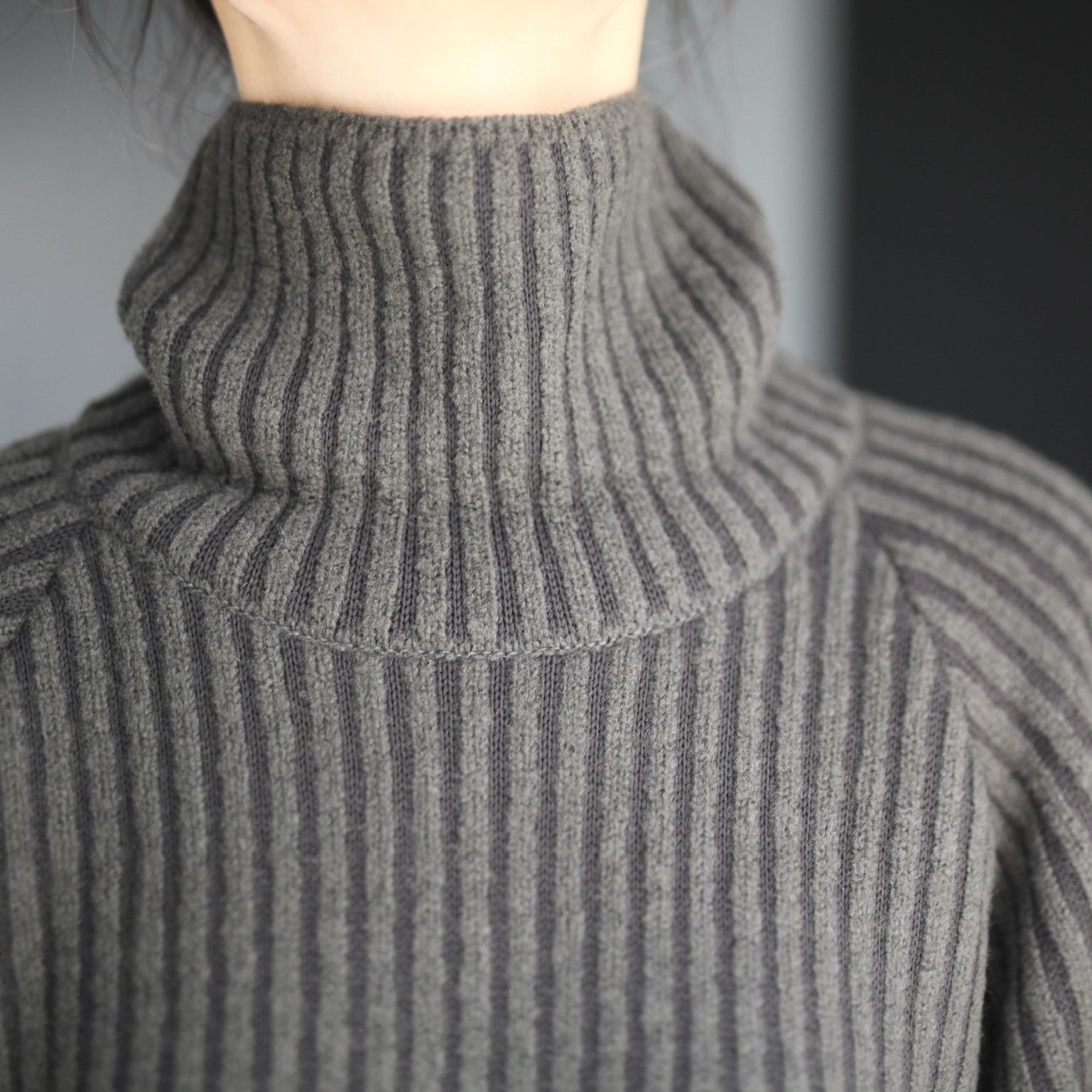 stein - 【残りわずか】Thick Wale Rib High Neck LS | ACRMTSM ONLINE ...