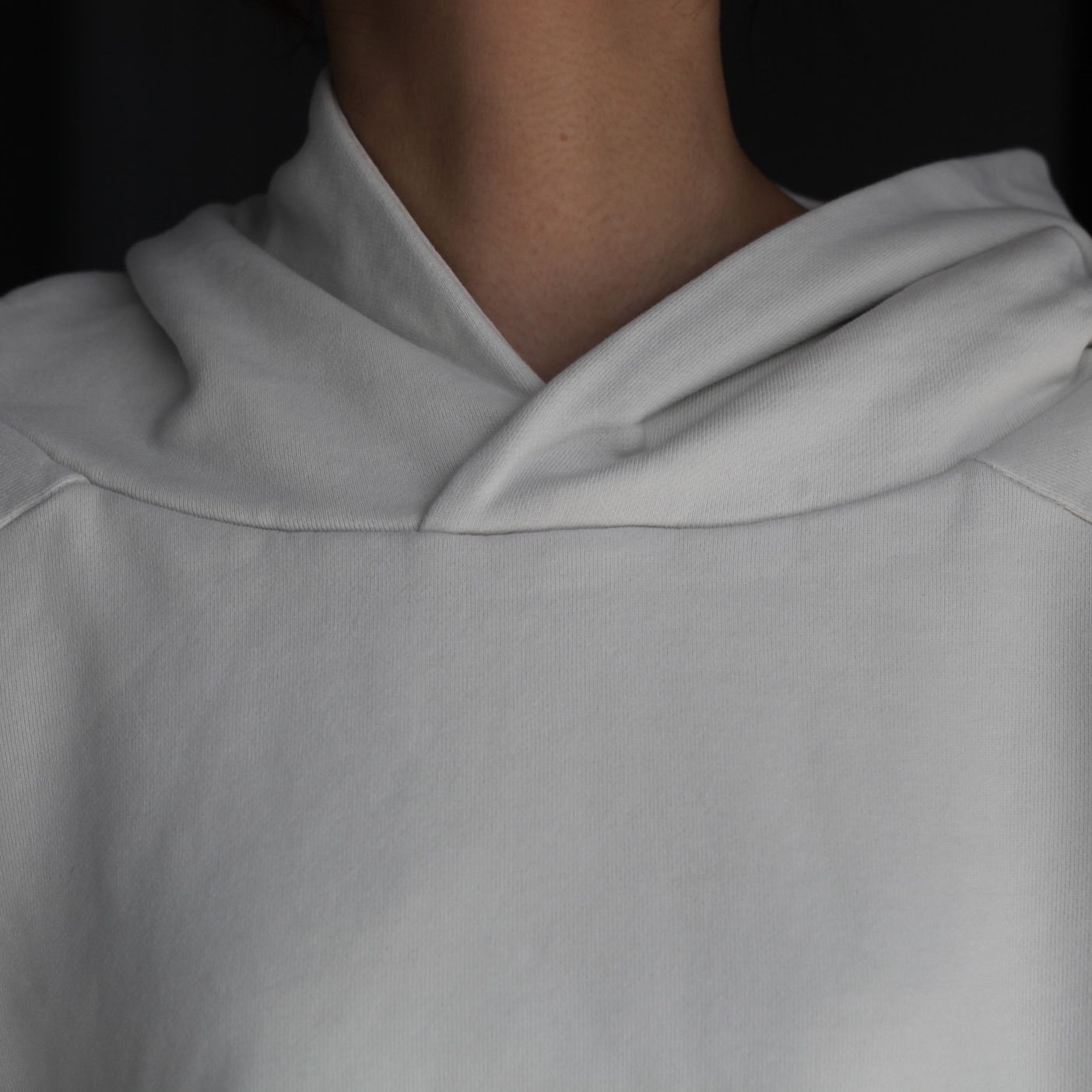 【残り一点】Double Double Hood