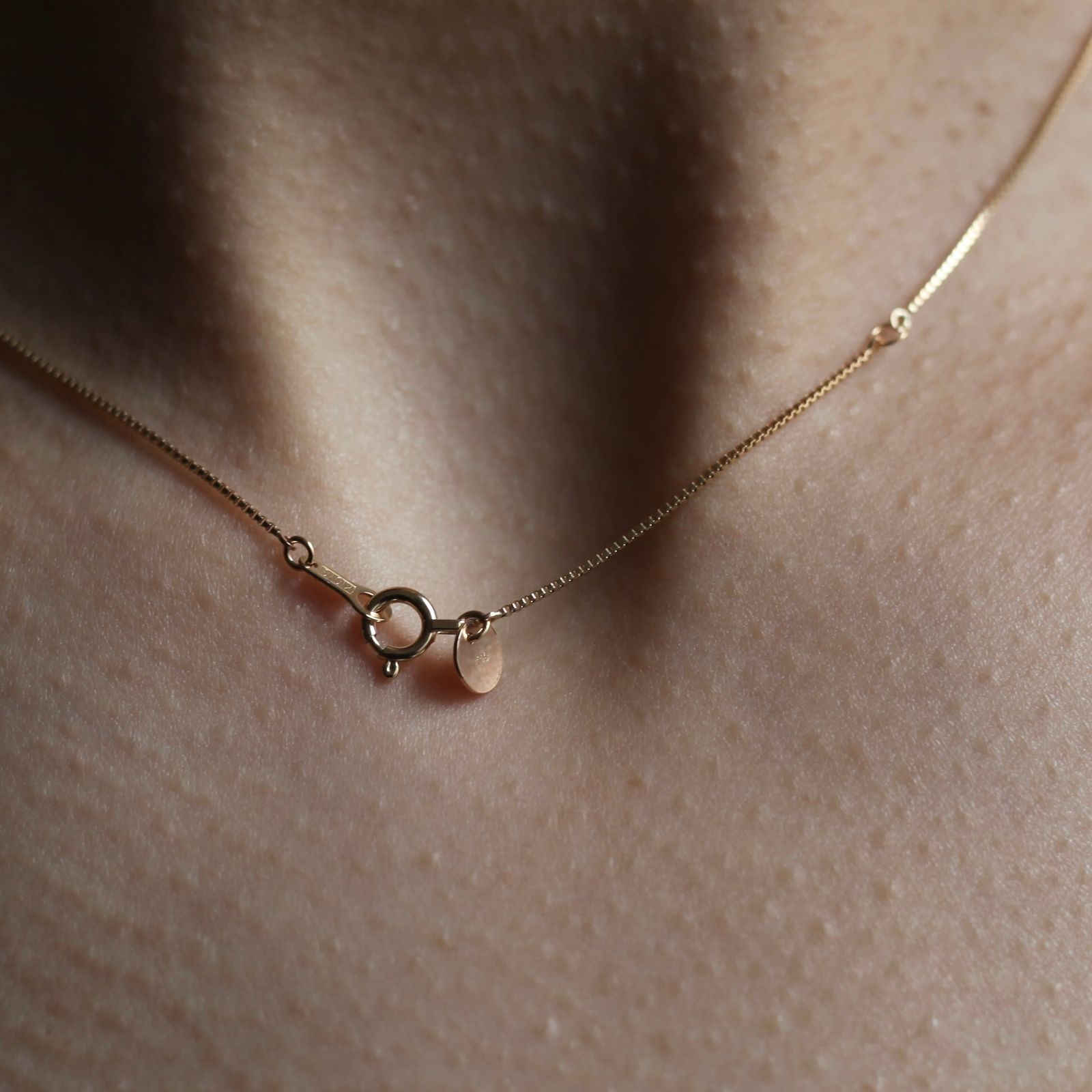 【お取り寄せ注文可能】K10 Snake Necklace