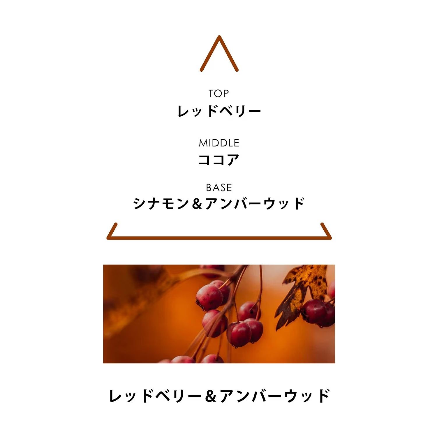 【残り一点】シンギュラーオードパルファム 50ml(HATTAI)