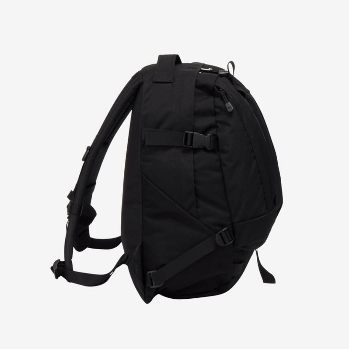 【残り一点】Kinkajou